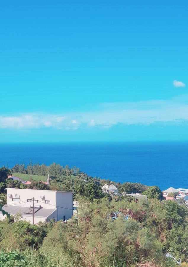 Вилла Lilie Location Manapany 4 Etoiles Петит-Иль Экстерьер фото